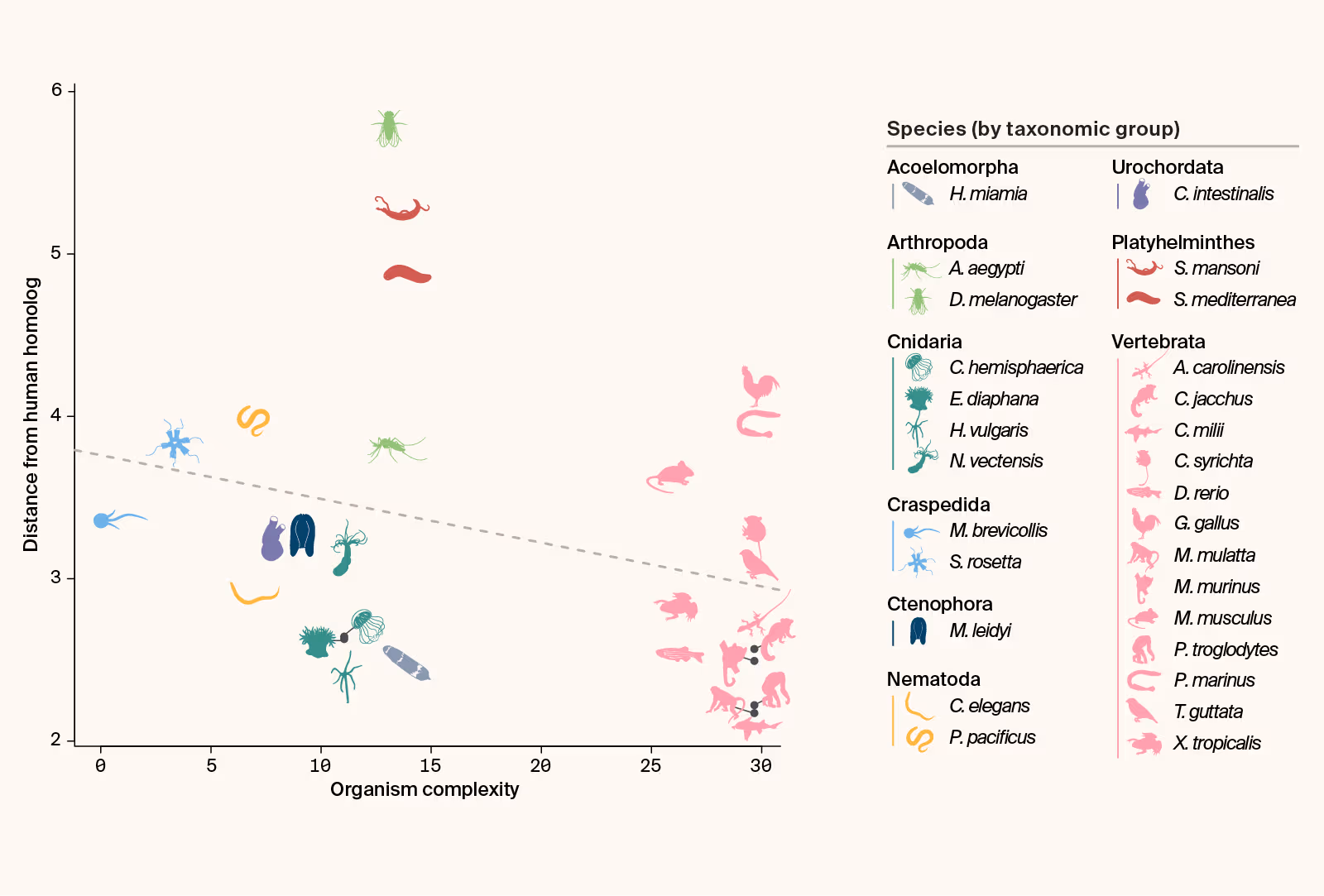 Example results for the gene that causes Duchenne muscular dystrophy