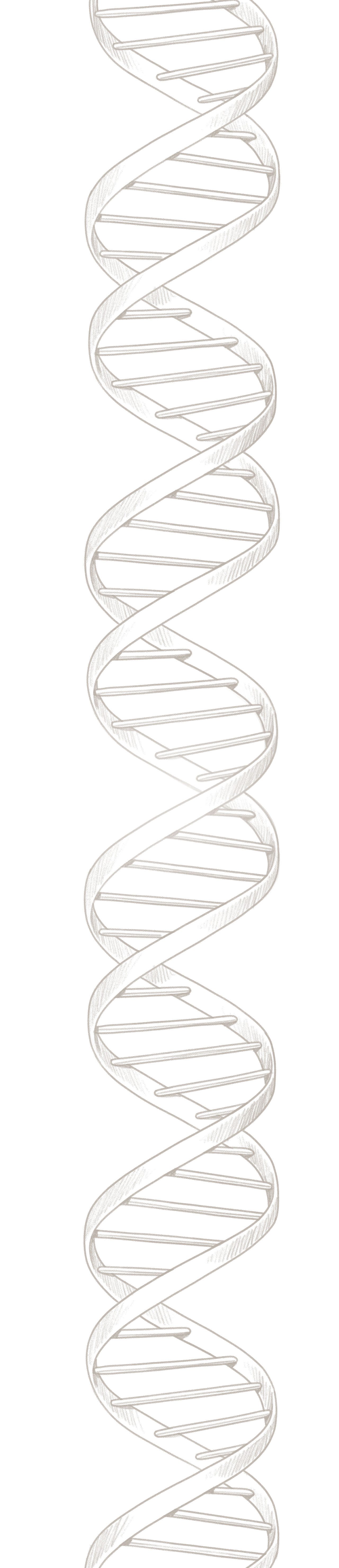 DNA